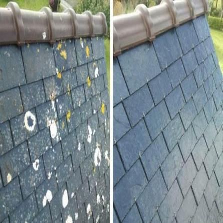 Nettoyage et traitement anti-mousse d'une toiture