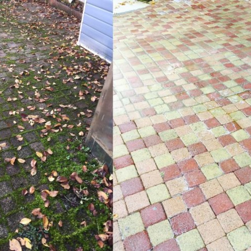 Nettoyage basse pression - traitement préventif et curatif