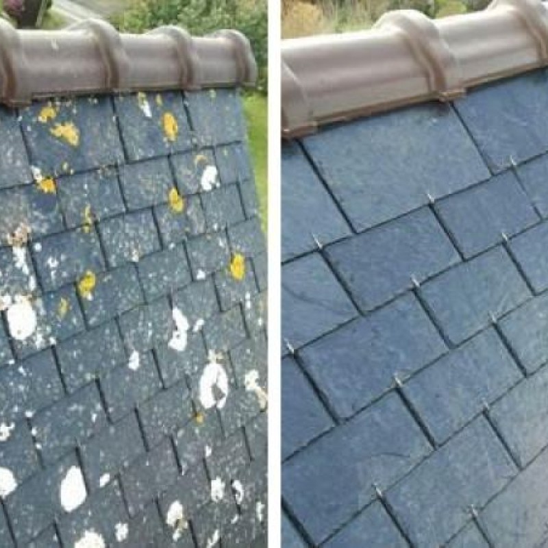 Nettoyage et traitement anti-mousse d'une toiture